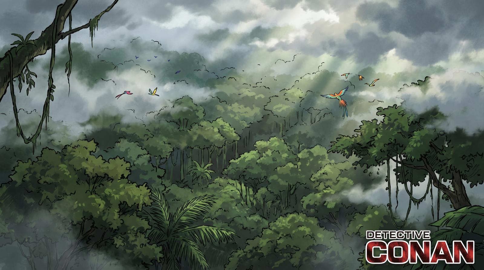 海角社区热带雨林植物视频